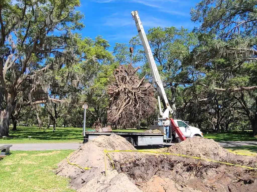 ts-service02 20210526 105545 1