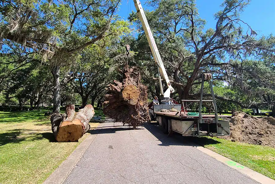 ts-service02 arb gal 3 1