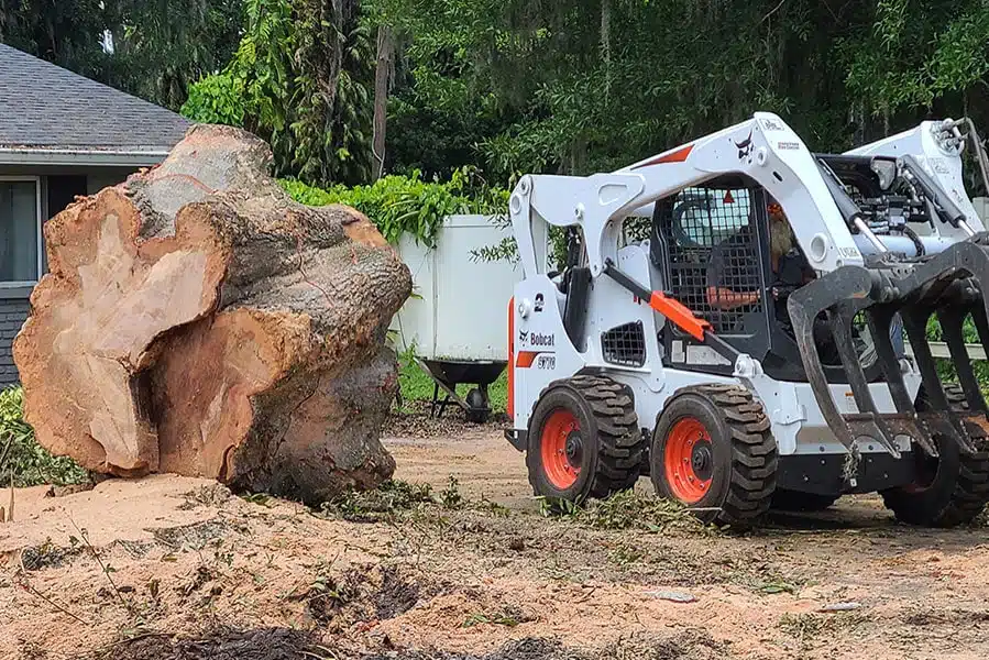 ts-service02 arborist 2 1 1