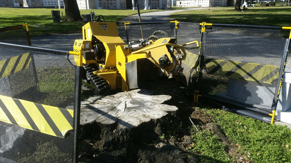 Stump grinding