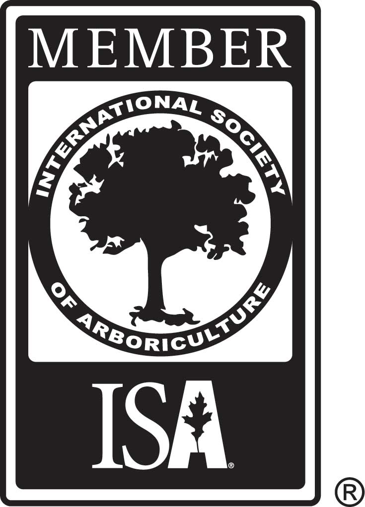 ISA member