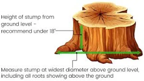 How To Measure A Stump