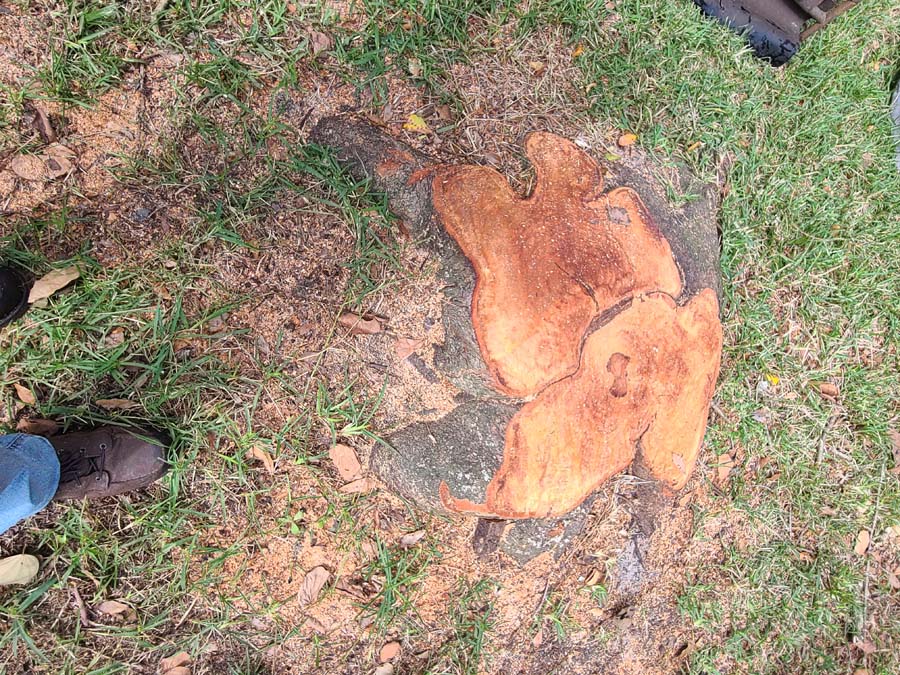 Senior, Military & First Responder Discounts for Stump Grinding