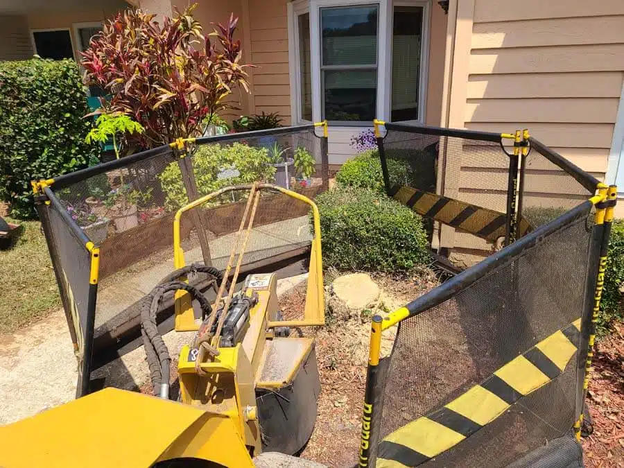 Our Stump Grinding Process: What to Expect from Start to Finish