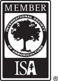 ISA member