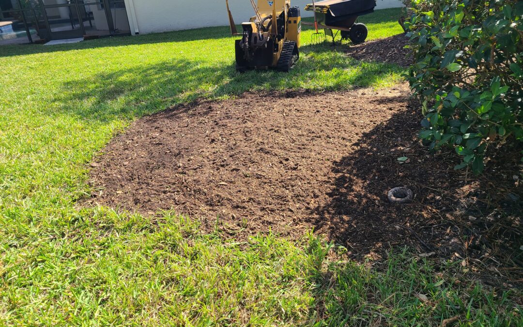 How Root Pruning Protects Your Home & Driveway