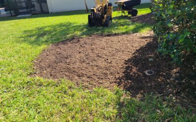 How Root Pruning Protects Your Home & Driveway