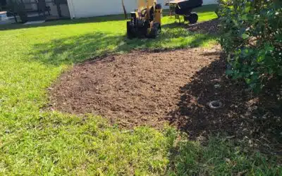 Stump & Tree Tips 3 How Root Pruning Protects Your Home & Driveway