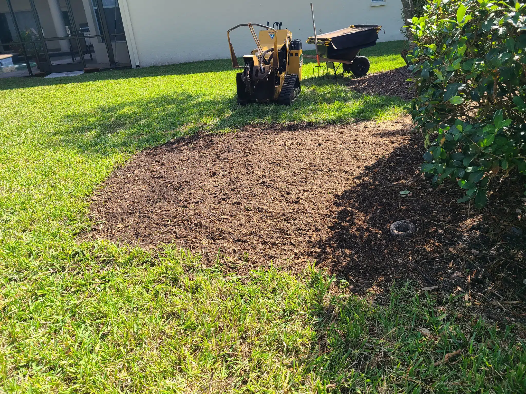 How Root Pruning Protects Your Home & Driveway