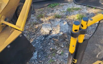 Stump & Tree Tips 5 The Environmental Benefits of Professional Stump Grinding