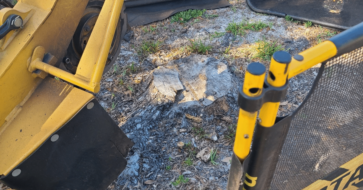 The Environmental Benefits of Professional Stump Grinding