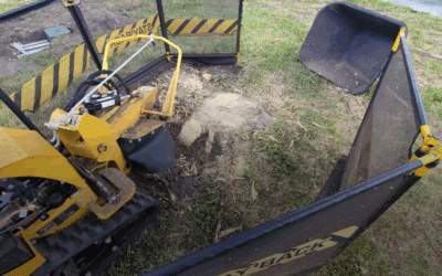 Will Stump Grinding Damage My Lawn?