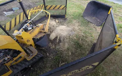 Stump & Tree Tips 4 Will Stump Grinding Damage My Lawn?