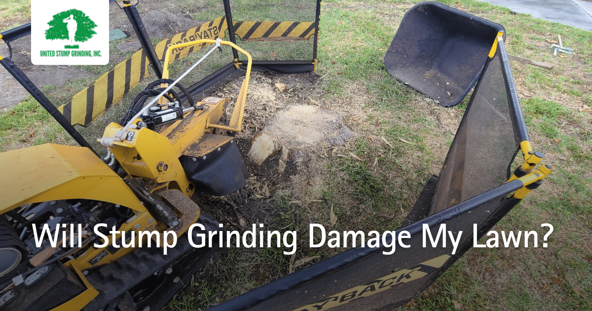 Grinding Damage 5 Creative Ways to Use Mulch After Stump Grinding